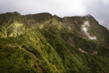 Caribbean, Dominica Island, Castle Bruce, Morne Trois Pitons National Park listed as World heritage by UNESCO, the tropical forest around the Boiling Lake whose vapors can be seen (aerial view)