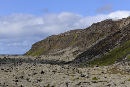 Iceland, Grindavik, lava fields covered with moss