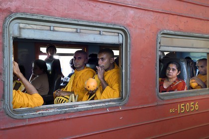 Sri Lanka, Province du Sud, moines bouddhistes buvant du lait de coco dans le train de Colombo à Galle