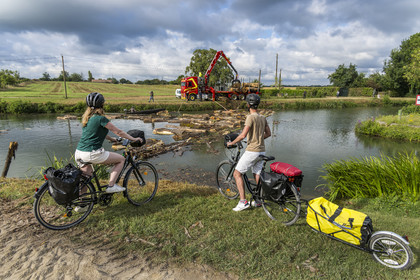 France, Deux-Sèvres, le Marais Poitevin, Green Venice, Magné, bicycle journey along the Sevre Niortaise River banks, timber rafting