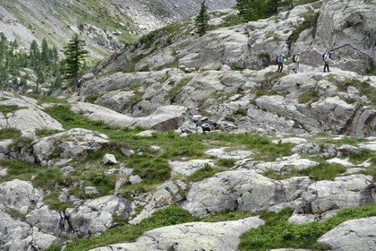 France, Alpes-Maritimes (06), parc national du Mercantour, vallée de la Valmasque, randonneurs et une étagne, bouquetin (Capra ibex) femelle des Alpes