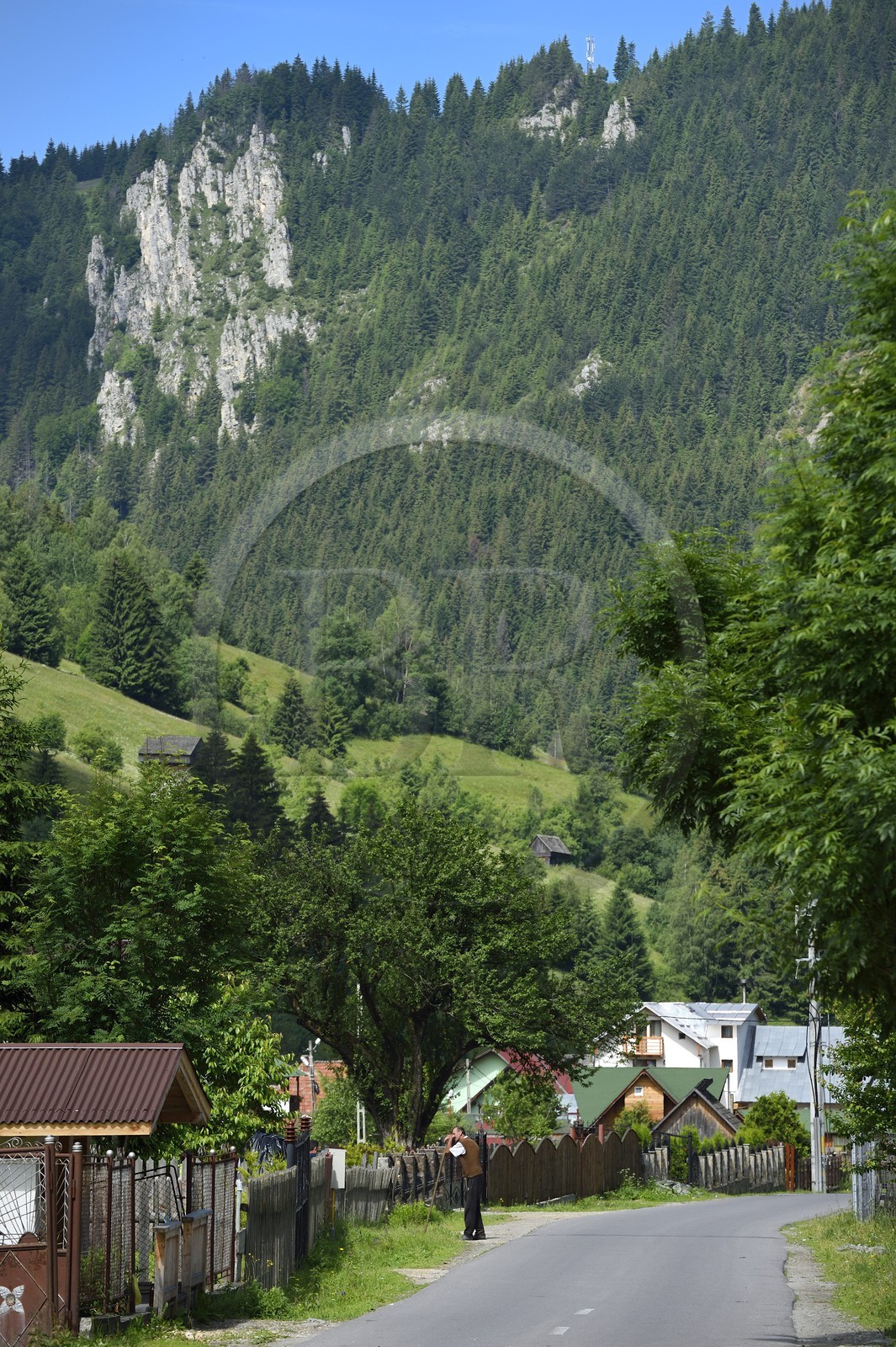 Roumanie, Transylvanie, région de Brasov, Moieciu de Sus dans les monts Fagaras dans les Carpates du Sud