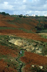 France, Finistère (29), Pointe du Raz vers le port de Bestrée et village de Lescoff