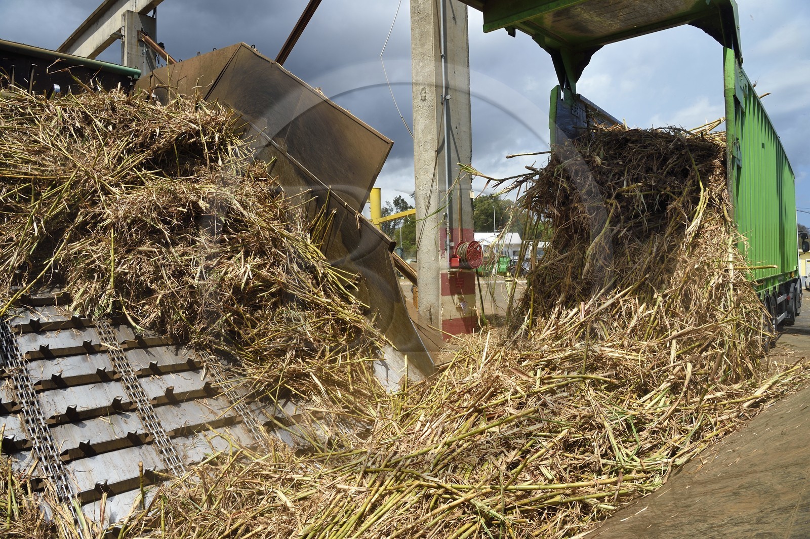 France, Ile de la Reunion, Saint-Louis, l'usine sucrière du Gol, déchargements de la canne à sucre des cachalots (camions ou remorques) France, Ile de la Reunion, Saint-Louis, l'usine sucrière du Gol, déchargements de la canne à sucre des cachalots (camions ou remorques)