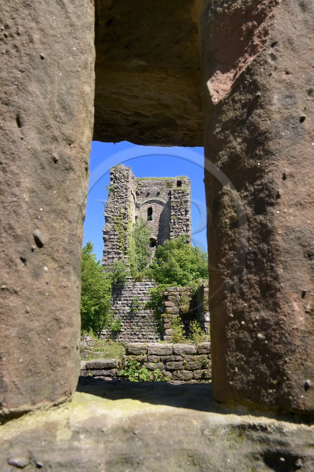 France, Bas Rhin, Saverne, Grand Geroldseck castle from the 12th century, the square keep has walls three metres thick faced in embossed stone