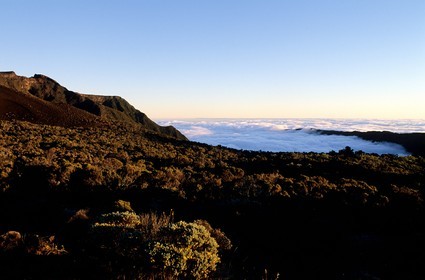 France, île de la Réunion, Piton de la Fournaise, classé Patrimoine Mondial de l'UNESCO, végétation rases des pentes du volcan
