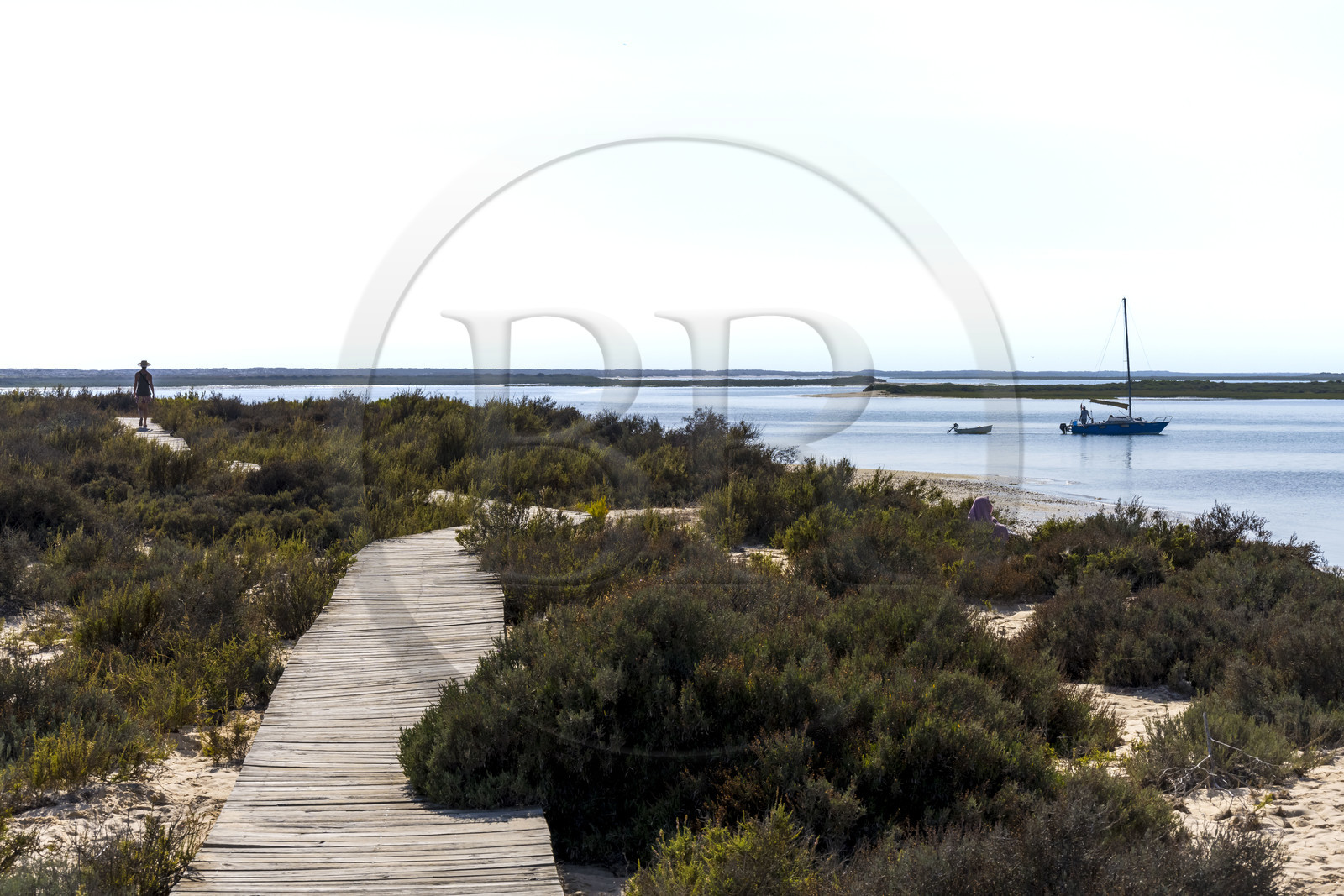 Portugal, Algarve, Parc naturel de la Ria Formosa, Faro, chemin de planches de bois sur l'Ile de Barreta ou Deserta (Ilha da Barretta ou Deserta)