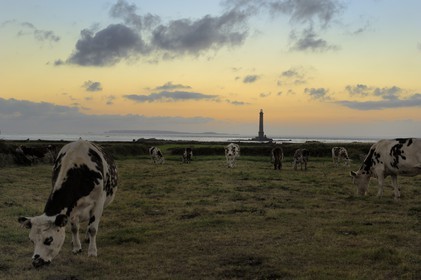 France, Manche, Cotentin, Cap de la Hague, small port of Goury, the lighthouse