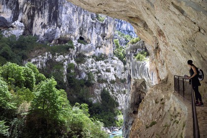 France, Alpes-de-Haute-Provence (04), Parc Naturel Régional du Verdon, Rougon, Grand Canyon du Verdon, la rivière du Verdon dans le couloir Samson, vu depuis le sentier Blanc-Martel sur le GR4
