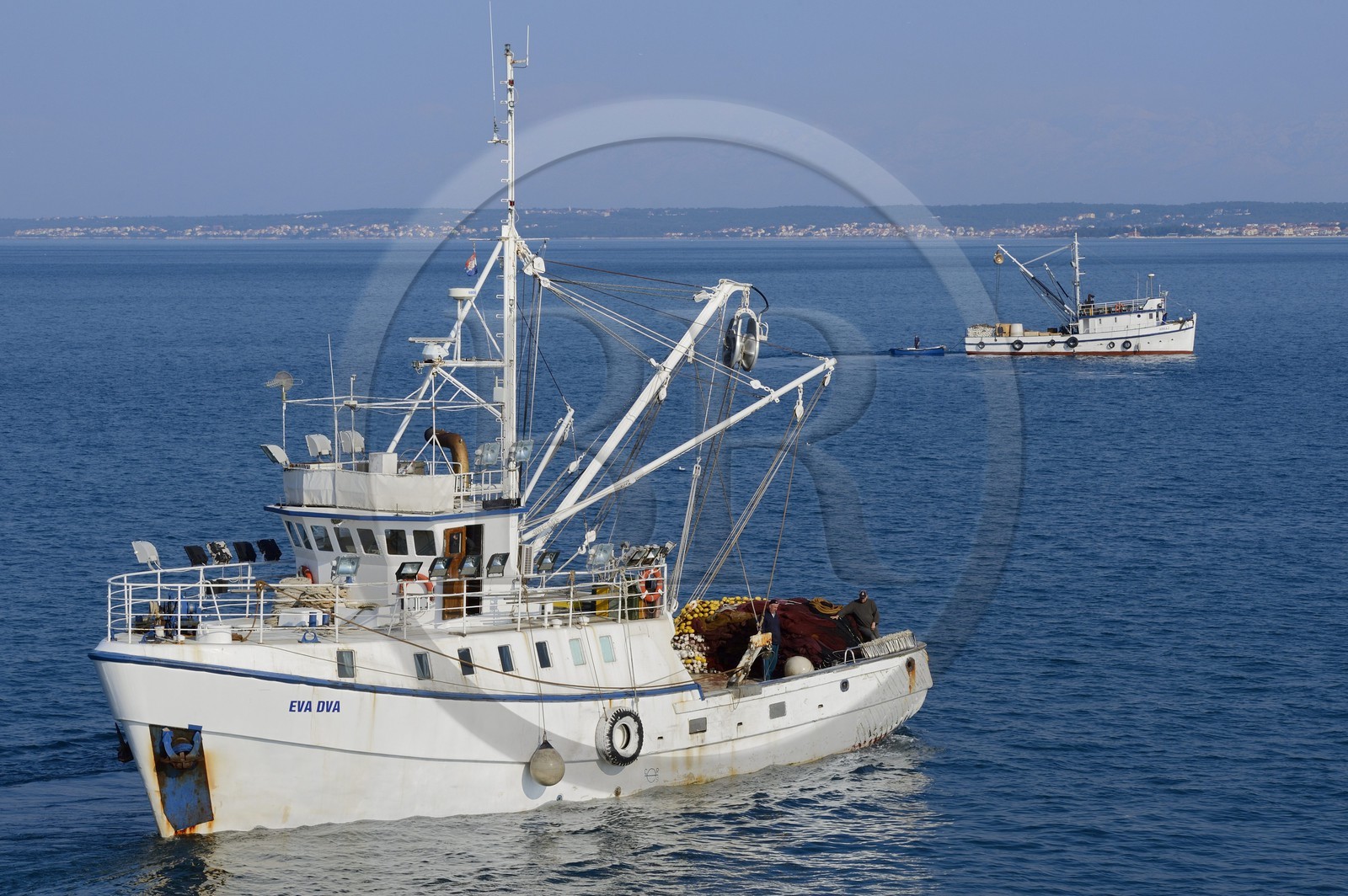 Croatie, Dalmatie, côte dalmate, Ile d’Ugljan, Preko, retour de pêche au thon, Zadar en arrière plan