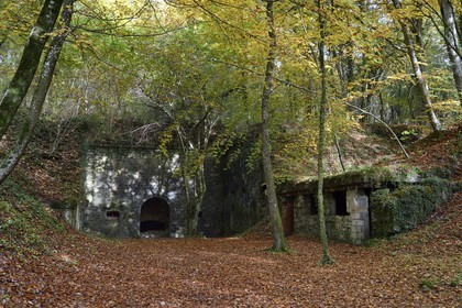 France, Meuse, Douaumont region, battle of Verdun, the Fort de Souville, war entrance