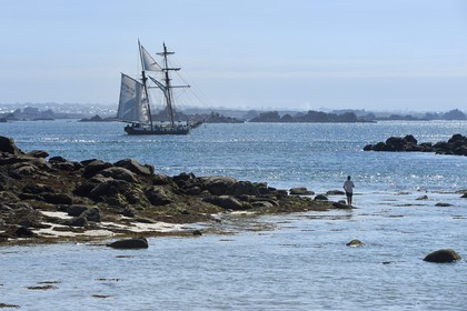 France, Finistère (29), Ile-de-Batz, l'aviso-goélette La Recouvrance