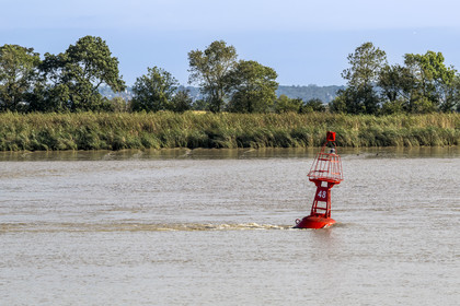 France, Loire-Atlantique (44), Le Pellerin, balise rouge dans la Loire