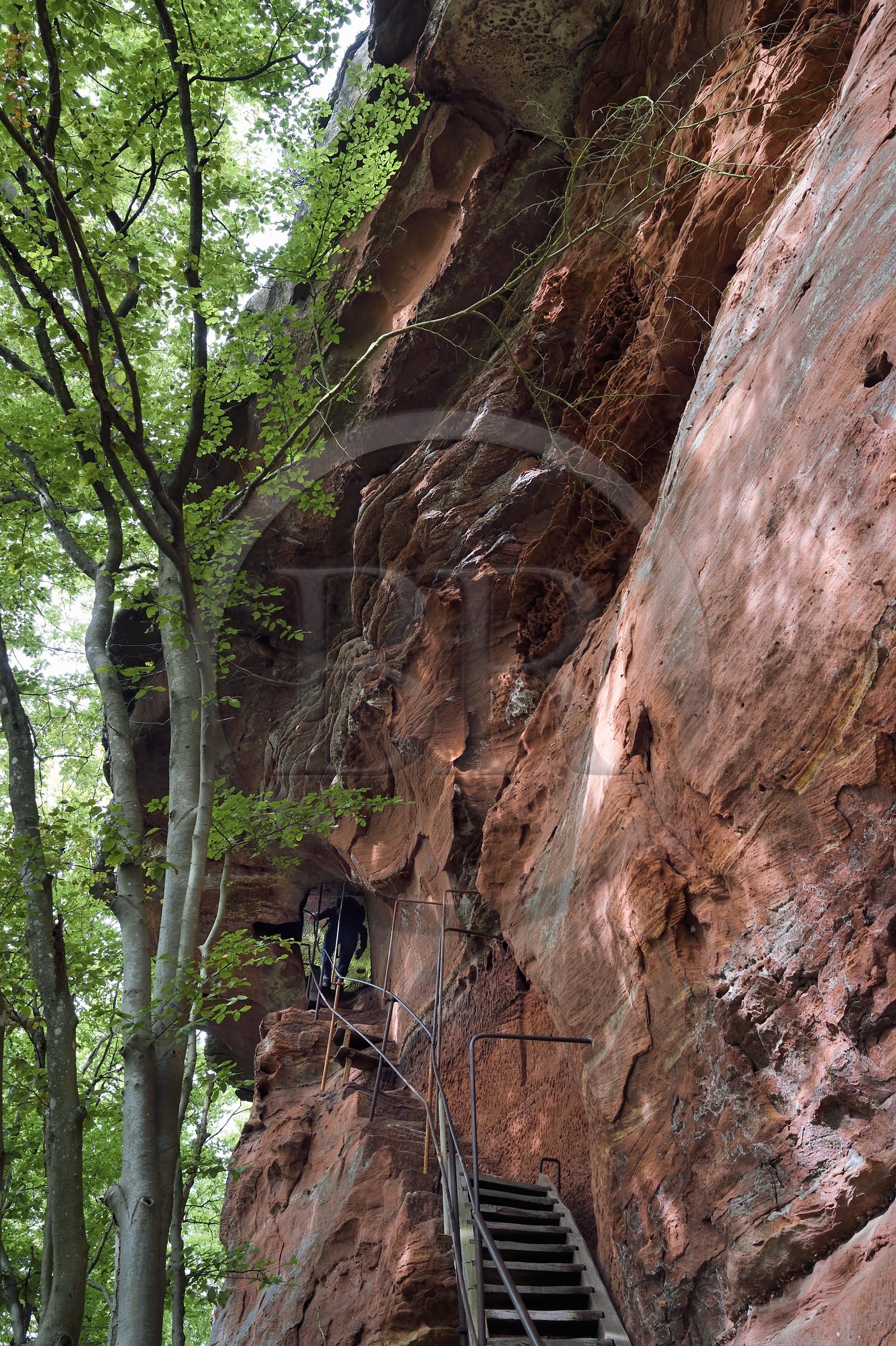 France, Bas Rhin, Northern Vosges Regional Natural Park, Niedersteinbach, Steinbach national forest, sandstone rock called Gypsy Rock that had a small guard tower