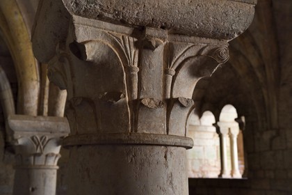 France, Var (83), Abbaye cistercienne du Thoronet, la salle capitulaire du cloitre