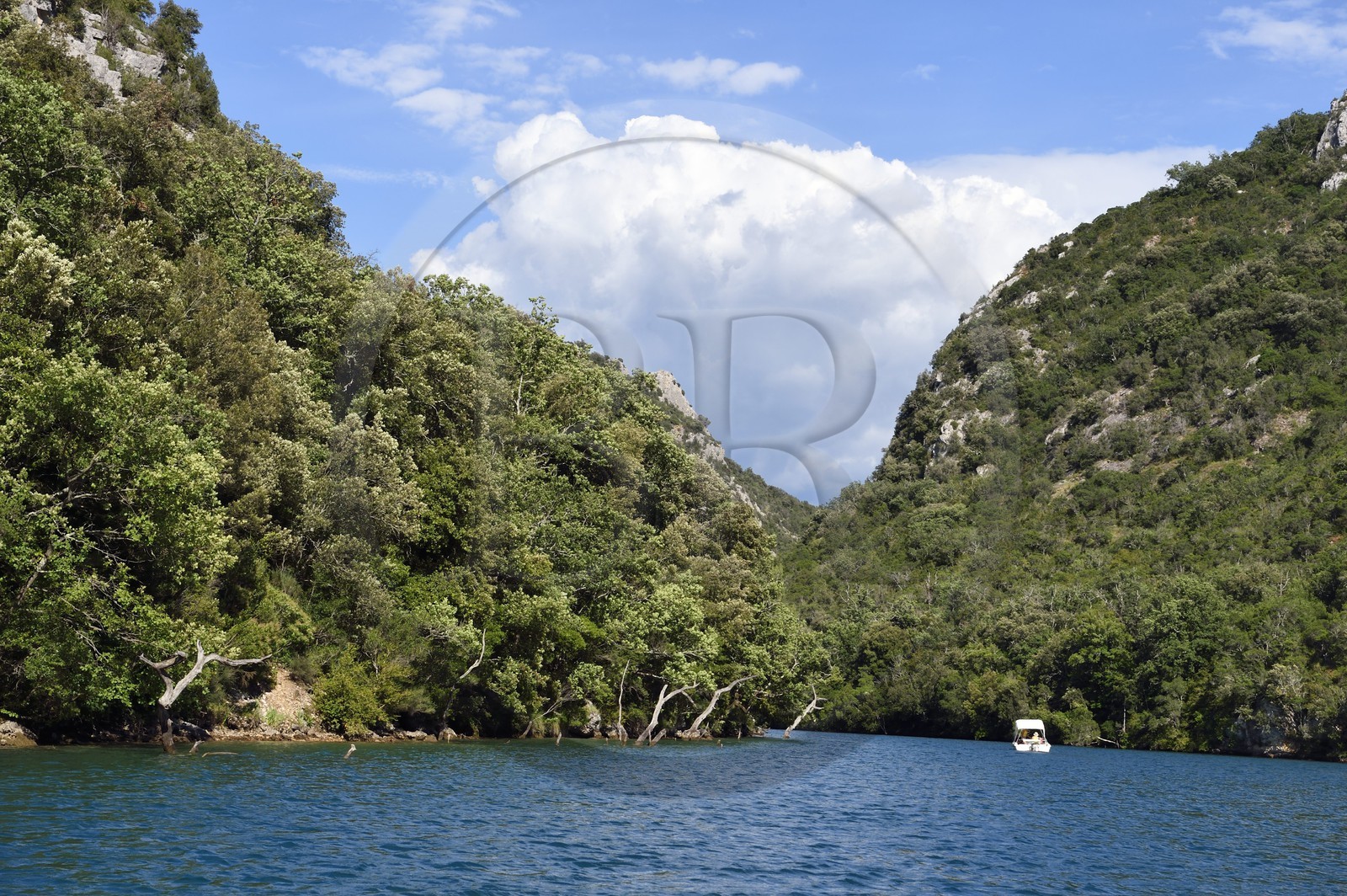 France, Alpes de Haute Provence, Parc Naturel Régional du Verdon, electric boat in the Basses Gorges du Verdon downstream of Lake St. Croix