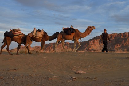 Iran, Province d'Ispahan, désert du Dasht-e Kavir, Mesr dans la région de Khur et Biabanak, caravane de dromadaires au pied de la chaine de montagne de Dareh bidan au coucher de soleil