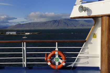 Iceland, Reykjavik, cruise ship Princess Danae moored in harbour