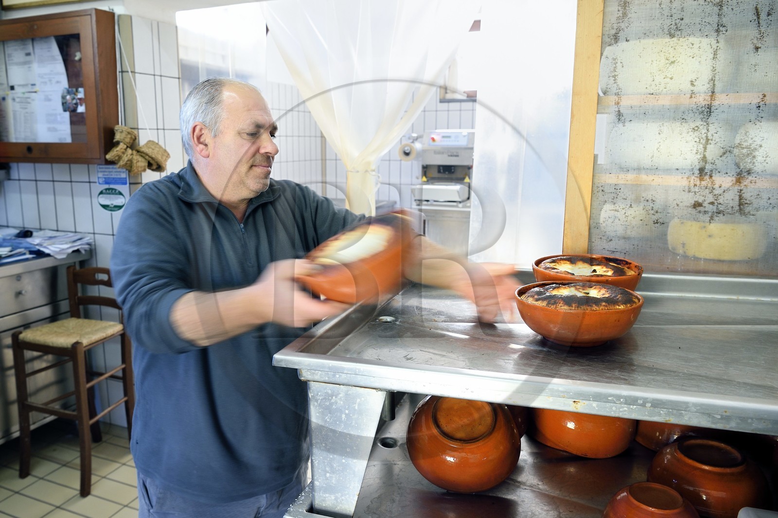 Italie, Sicile, iles Eoliennes, classées Patrimoine Mondial de l'UNESCO, ile de Vulcano, La Vecchia Fattoria, le berger et fromager de chèvre Fabrizio Lo Piccolo