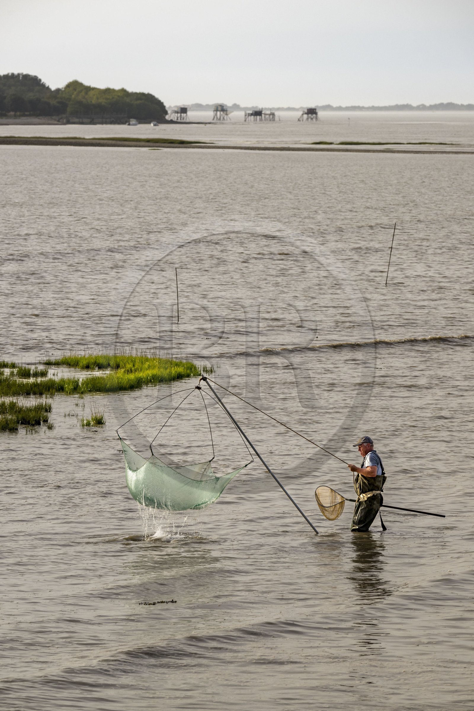 France, Charente-Maritime (17), Port-des-Barques, pêcheur au carrelet et cabanes sur pilotis appelées carrelets en arrière plan