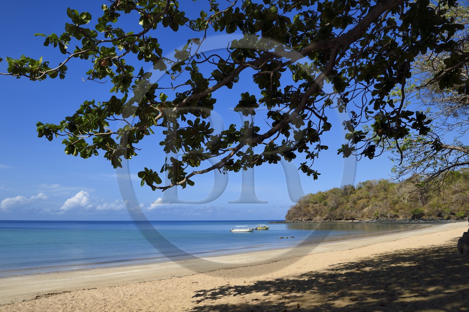 France, Ile de Mayotte, Grande-Terre, Kani-Keli, le Jardin Maoré, la plage de N’Gouja