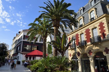 France, Pyrenees Atlantiques, Basque Country, Biarritz, brasserie Le Royalty on place Georges Clemenceau