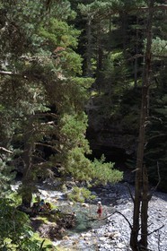 France, Hautes-Pyrénées (65), Saint-Lary-Soulan, vallée du Rioumajou, la (rivière) Neste de Rioumajou