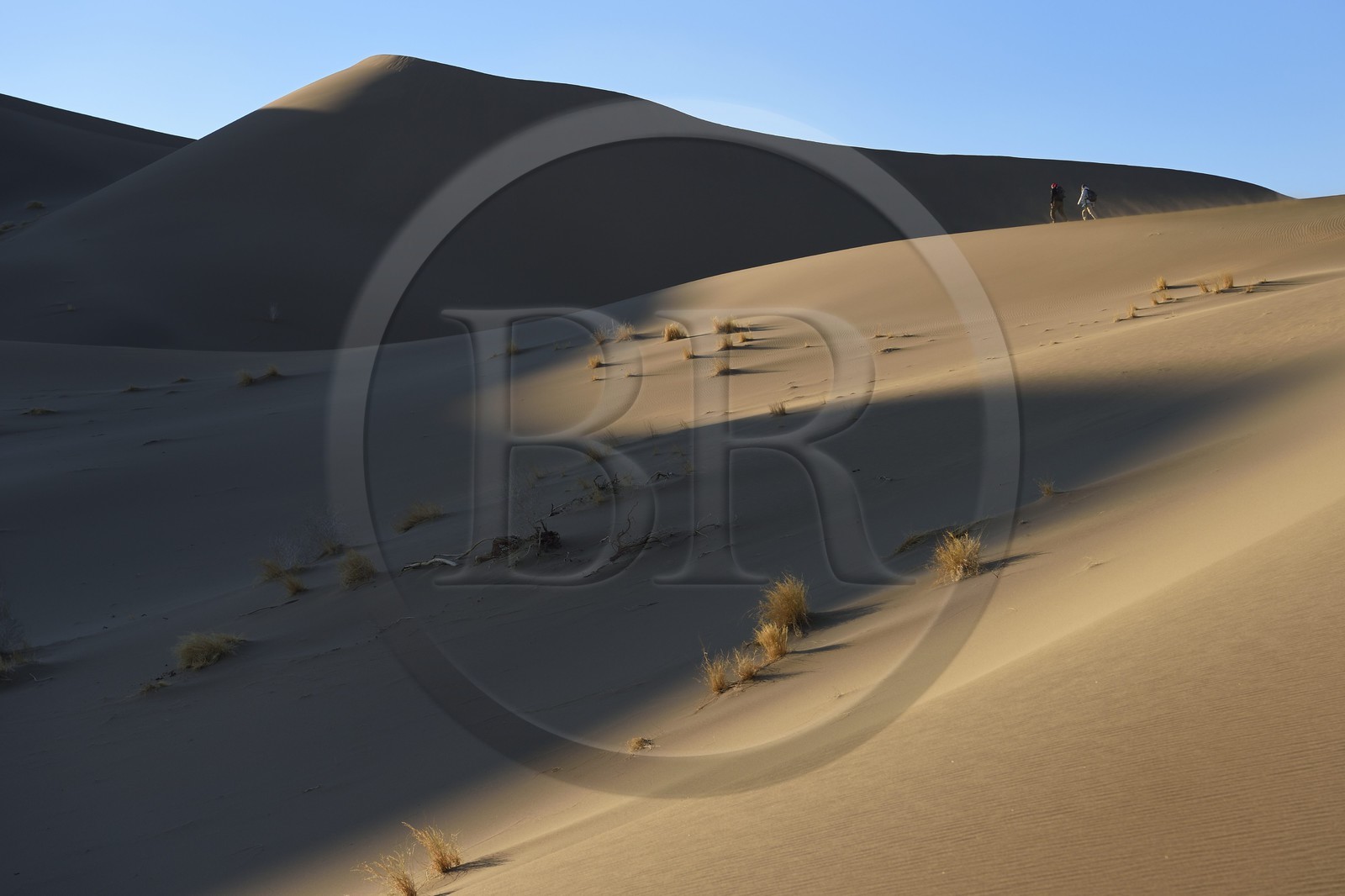 Iran, Province de Yazd, désert du Dasht-e Kavir, Moghestan, randonnée dans le massif dunaire dont la plus haute dune atteint les 200 mètres