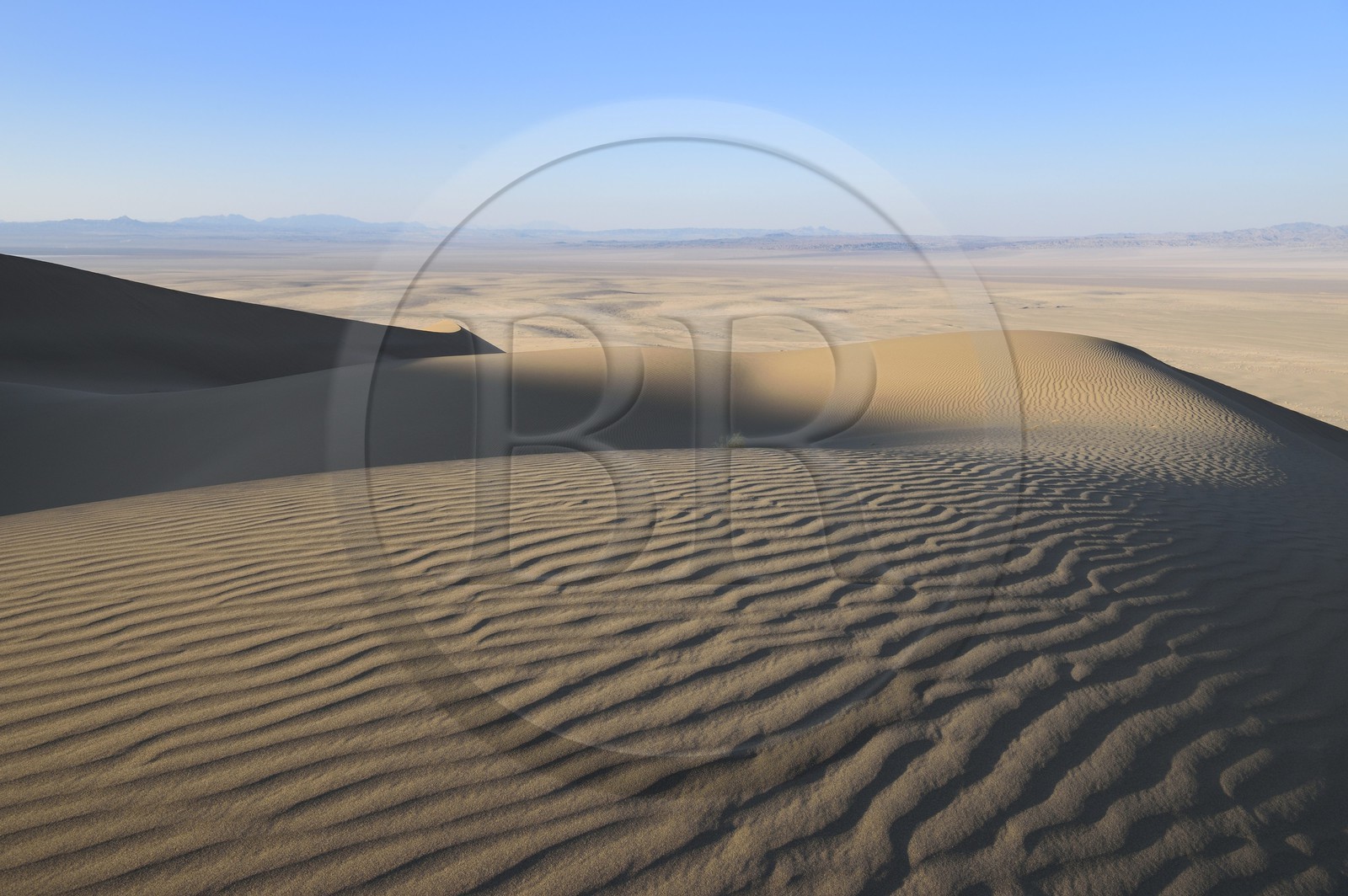 Iran, Province de Yazd, désert du Dasht-e Kavir, Moghestan, massif dunaire dont la plus haute dune atteint les 200 mètres