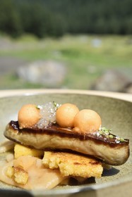 France, Hautes-Pyrénées (65), Saint-Lary-Soulan, vallée du Rioumajou, l'hospice du Rioumajou devenu refuge et restaurant, foie gras poêlé