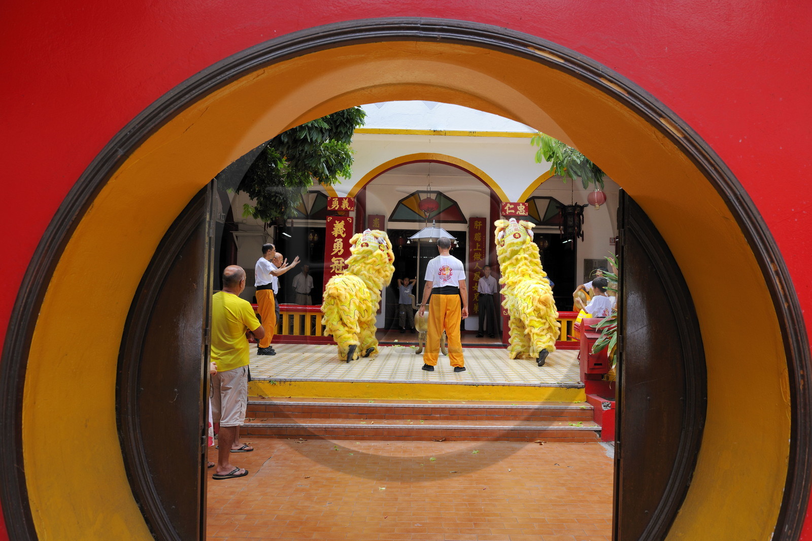 France, île de la Réunion, Saint-Pierre, danse traditionnelle du dragon à l'occasion des fêtes du nouvel an chinois dans un temple France, île de la Réunion, Saint-Pierre, danse traditionnelle du dragon à l'occasion des fêtes du nouvel an chinois dans un temple