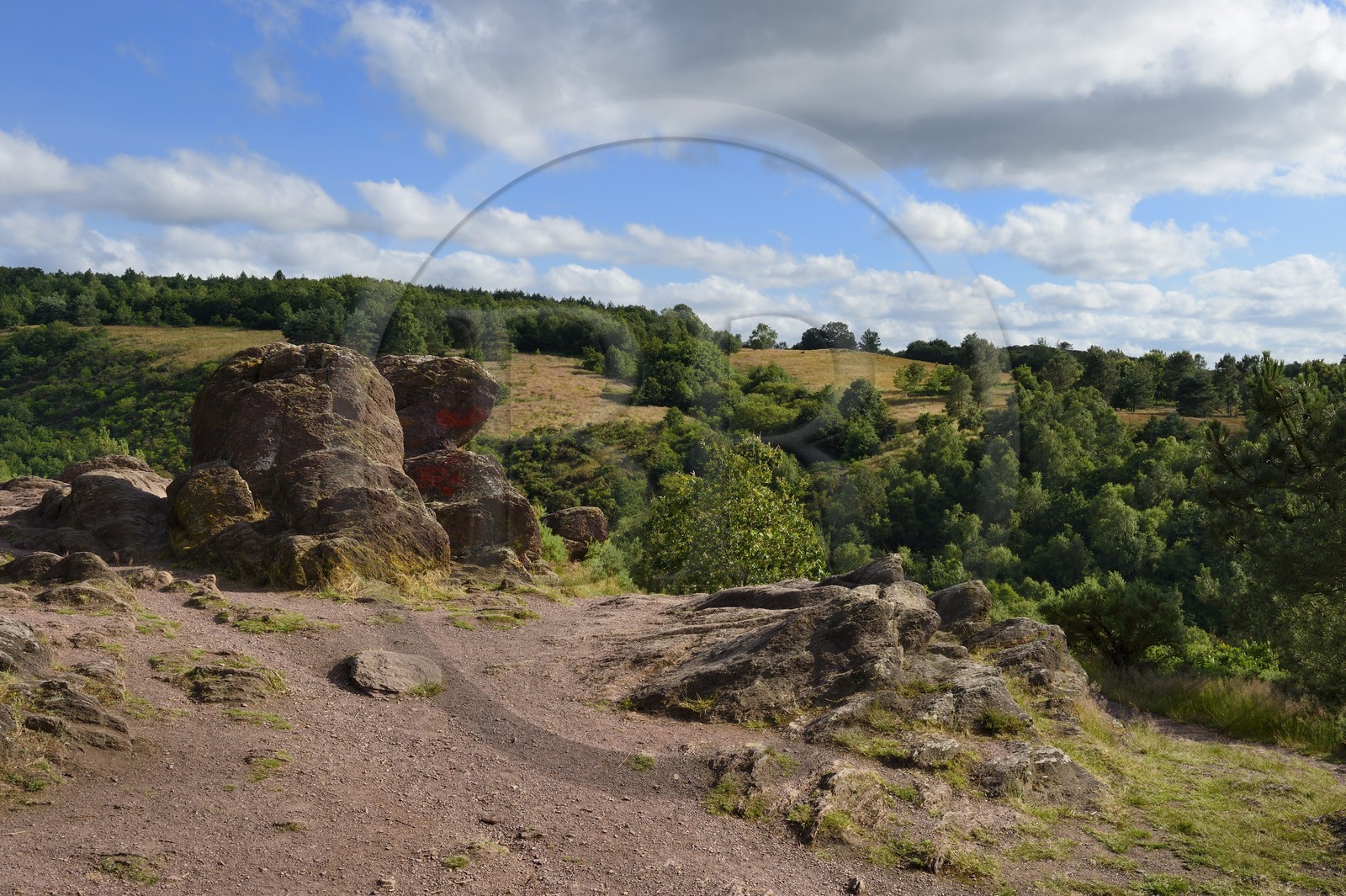 France, Morbihan (56), forêt de Brocéliande, Tréhorenteuc, la lande du Val sans retour