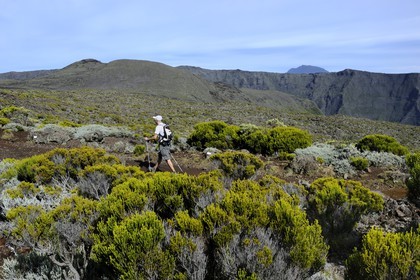 France, Reunion island (French overseas department), Piton de la Fournaise volcano, listed as World Heritage by UNESCO, hikers on the trail at the top of the Enclos