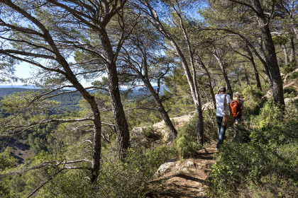 France, Bouches-du-Rhône (13), Aix en Provence, randonneurs sur le plateau de Bibemus
