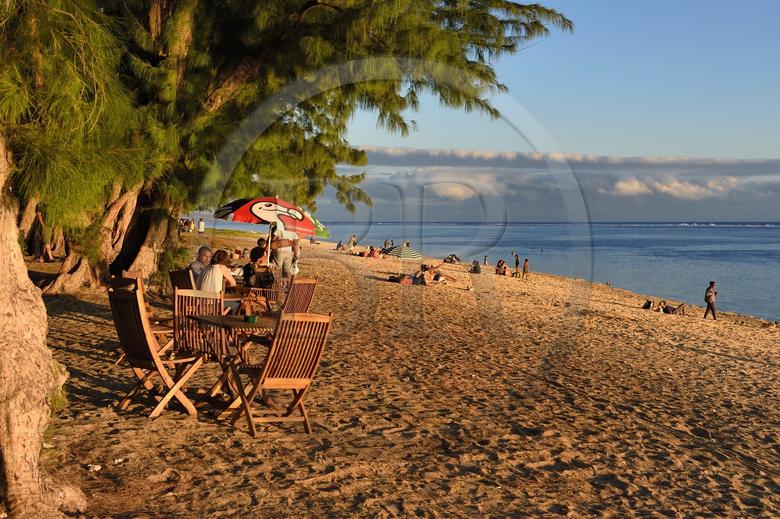 France, île de la Réunion, la Cote Ouest, plage du lagon de Saint-Gilles-Les-Bains à l'Ermitage-les-Bains, à l'ombre des filaos