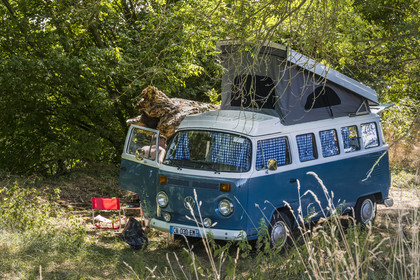 France, Maine-et-Loire, Loire valley listed as World Heritage by UNESCO, Saumur towards Saint-Hilaire, camping wirh a  VW Motorcaravan on the banks of the Loire