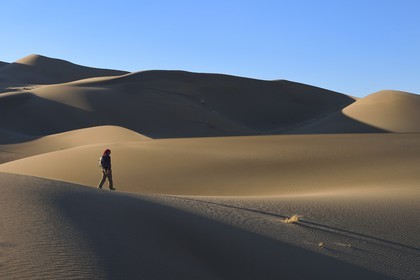 Iran, Province de Yazd, désert du Dasht-e Kavir, Moghestan, randonnée dans le massif dunaire dont la plus haute dune atteint les 200 mètres