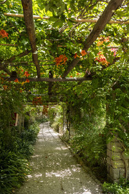 Italie, Ligurie, Province d'Imperia, Vintimille, Jardin botanique Hanbury, la tonnelle