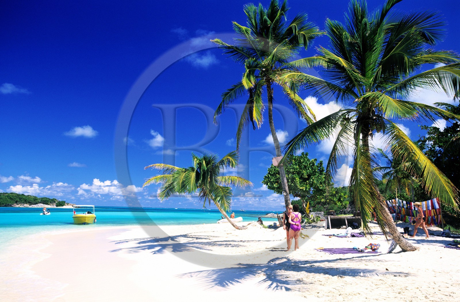 Caraïbes, Saint-Vincent et les Grenadines, archipel des Tobago Cays, plage d'une petite île inhabitée