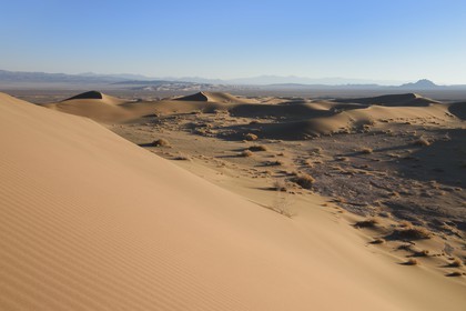 Iran, Province de Yazd, désert du Dasht-e Kavir, Moghestan, massif dunaire dont la plus haute dune atteint les 200 mètres