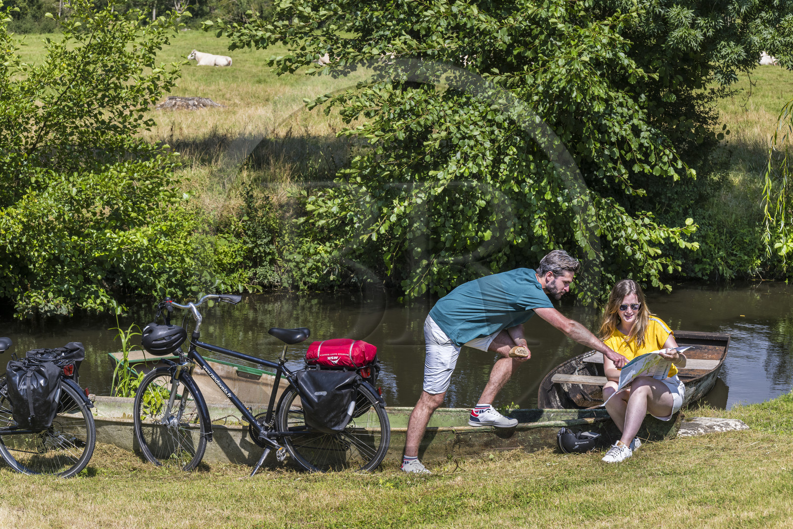 France, Deux-Sèvres (79), le Marais Poitevin, la Venise Verte, Le Vanneau-Irleau, randonnée à bicyclette le long des canaux