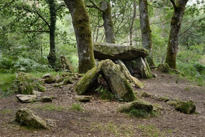 France, Morbihan, Loge au loup dolmen, probably more then 4500 years old