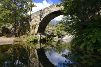 France, Haute Corse, Niolu (Niolo) region, Genoese bridge of Murricciolu over the Calasima river