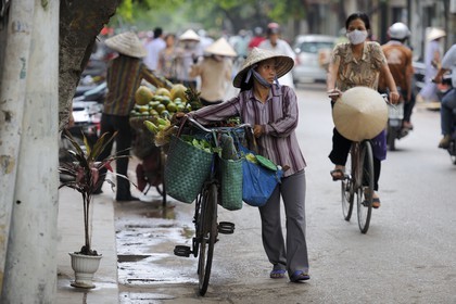 Vietnam, Hanoï, vieille ville, marchande de quatre saisons à vélo