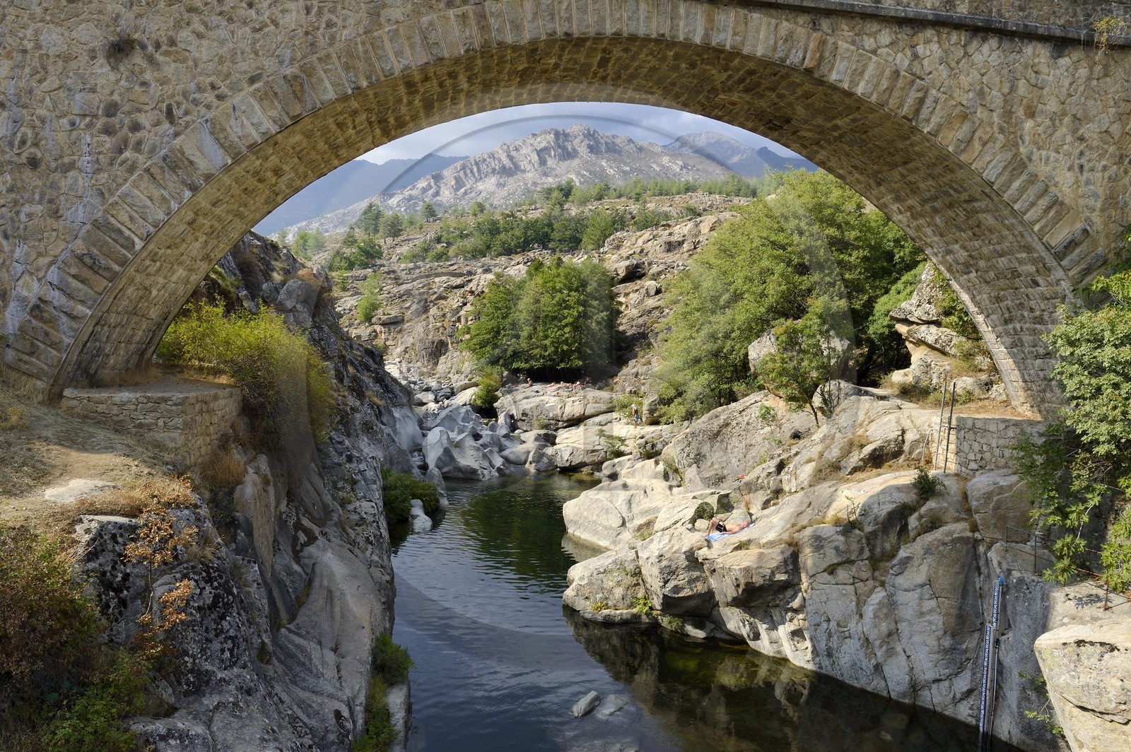 France, Haute Corse, Niolu (Niolo) region, swimming in the Golo river around the Genoese bridge Ponte Altu, the new bridge of the D84