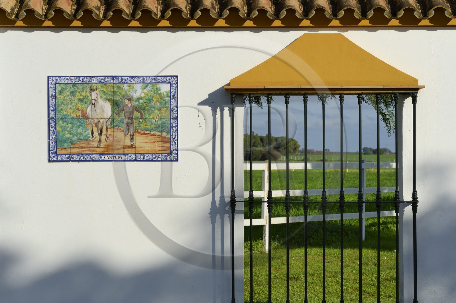 Espagne, Andalousie, province de Séville, Utrera, le haras Ayala (Yeguada Ayala)