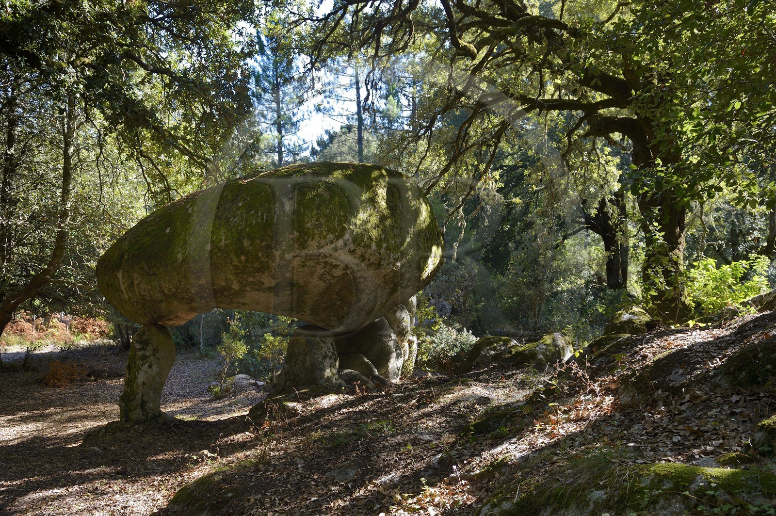 France, Corse-du-Sud (2A), Alta Rocca, chaos de Paccionitoli au sud de Zonza, dolmen France, Corse-du-Sud (2A), Alta Rocca, chaos de Paccionitoli au sud de Zonza, dolmen