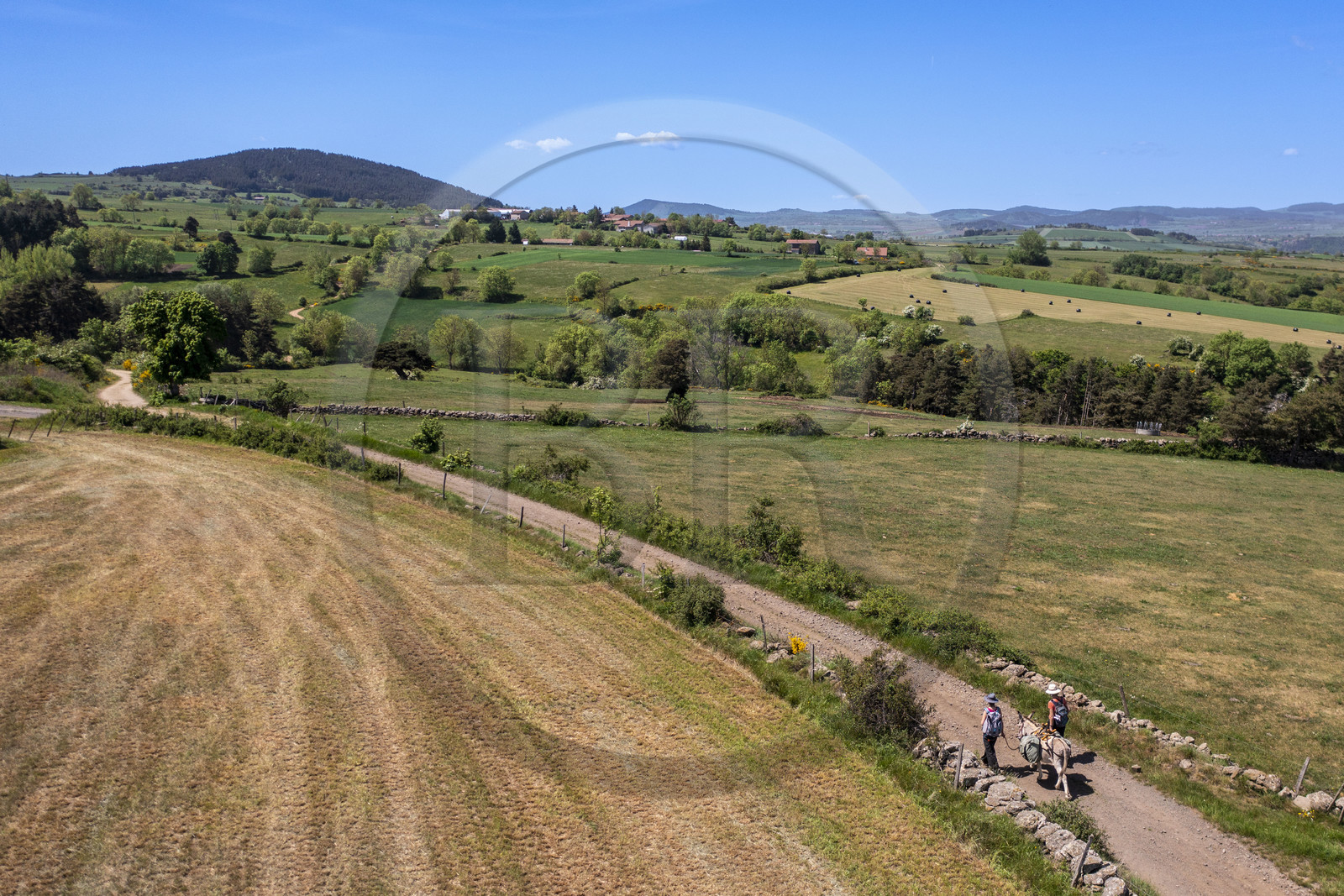 France, Haute-Loire (43), randonnée avec un âne sur le chemin de Stevenson (GR 70) entre Le Monastier-sur-Gazeille et Saint-Martin-de-Fugères (vue aérienne) France, Haute-Loire (43), randonnée avec un âne sur le chemin de Stevenson (GR 70) entre Le Monastier-sur-Gazeille et Saint-Martin-de-Fugères (vue aérienne)