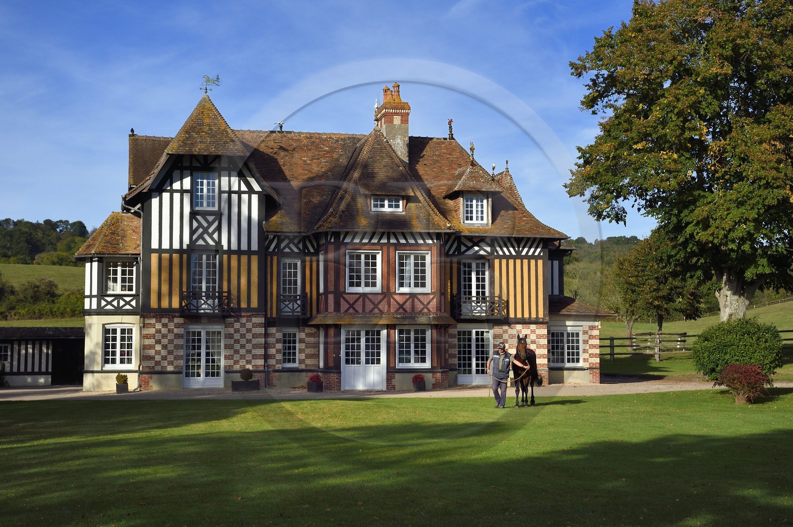 France, Calvados (14), Pays d'Auge, Beuvron-en-Auge, labellisé Les Plus Beaux Villages de France, manoir du Haras de Sens, le cheval Gold de Padd (fils de l'étalon Ready Cash) tenu par le stud groom Dominique Blachet France, Calvados (14), Pays d'Auge, Beuvron-en-Auge, labellisé Les Plus Beaux Villages de France, manoir du Haras de Sens, le cheval Gold de Padd (fils de l'étalon Ready Cash) tenu par le stud groom Dominique Blachet