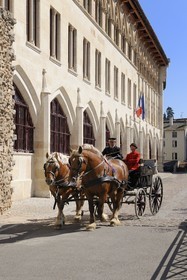 France, Saône et Loire (71), Cluny, attelage du Haras national devant la façade Pape Gelase